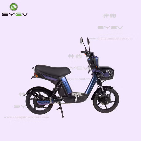 CE Certificate Fat Tire E Scooter off Road Adult Electric Scooter 500W