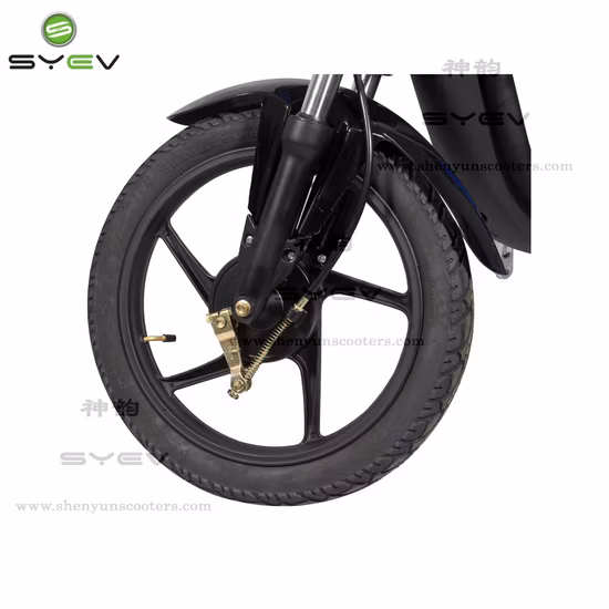 Two Leather Seats Simple Frame 48V Battery Adult Electric Scooter
