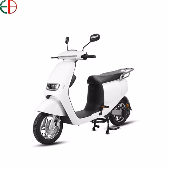 City Bike 1000W/1500W/2000W Motor E Scooters Power Electric Motorcycle Electrical Bicycle Adult